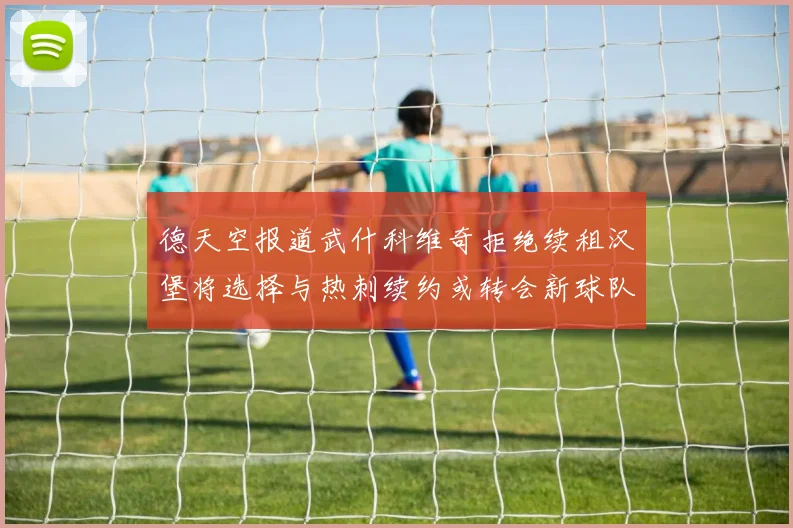 德天空报道武什科维奇拒绝续租汉堡将选择与热刺续约或转会新球队